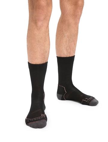 Chaussettes Icebreaker Merino Hike+ Light Crew Homme Noir | FR 1041GSOL